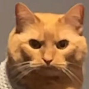 Meet your Posher, Jenny